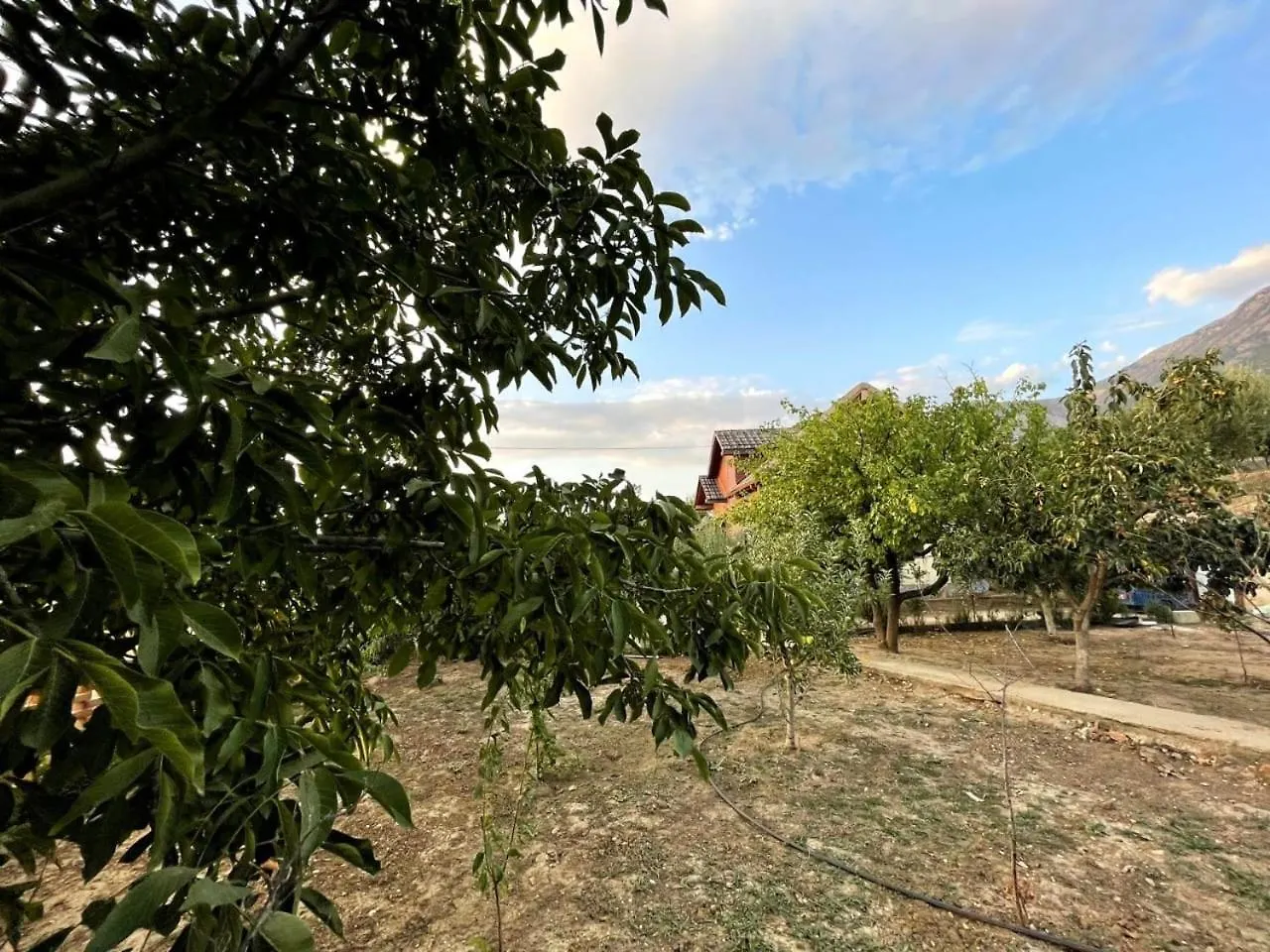 Property 1 Trajas